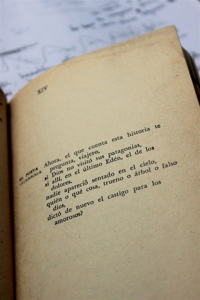 Sorgulayan Şiir / Pablo Neruda